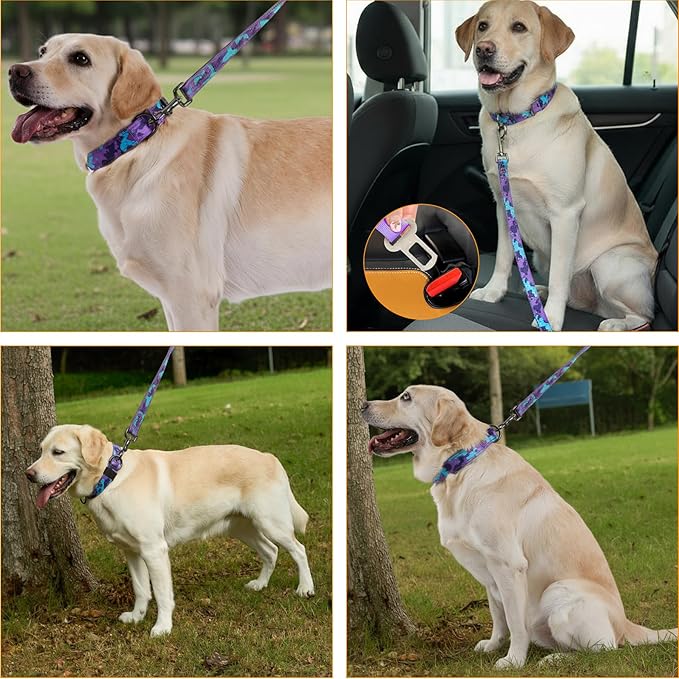 Annchwool Adjustable Dog Collar and 5 FT Leash Set with Heavy Duty Metal Buckle–Comfortable Lining Collar & Dual-Handles for Medium Large Dogs Walking,Car Travel(Camo Purple Set,L:17''-23'')