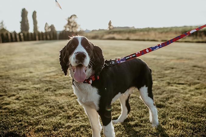 Boss Dog Tactical Leash, Red, White, Blue Camo, 4 FT