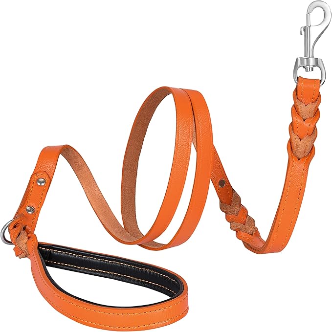 Riparo Leather Dog Leash 6ft with 2 Handles Padded Traffic Handle for Extra Control, Leather Dog Leashes for Large Breed Dogs Training Walking Heavy Duty Leashes for Dogs (Orange, L: 3/4" x6ft)