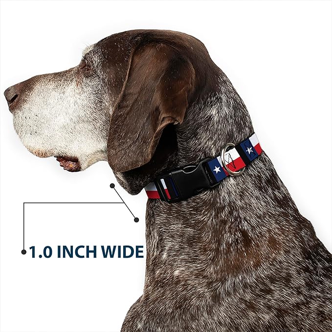 Buckle-Down Plastic Clip Collar - Texas Flag/Black - 1.5" Wide - Fits 16-23" Neck - Medium
