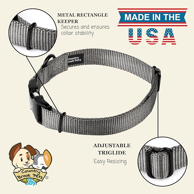 Country Brook Petz - Premium Nylon Dog Collar with Metal Buckle for Small Medium Large Breeds - 10+ Cool Colors (Small, 3/4 Inch, Charcoal)