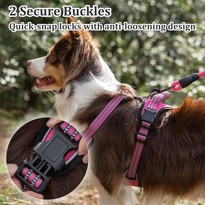 Front Clip No Pull Dog Harness, Breathable Mesh Padded Design, Reflective Adjustable Vest with Dual Leash Clips for Dog Training (M, Hot Pink)