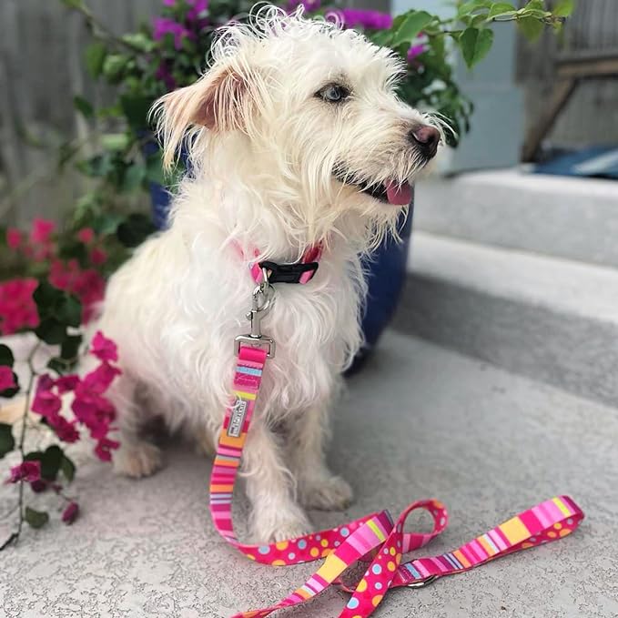 Lucky Love Dog Leash - Colorful Stripes, Yellow, Pink, Blue - Cute Female Dog Leash (Large, Molly)