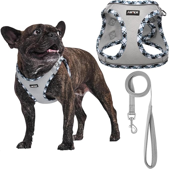 AMTOR Small Dog Harness with Leash Set, No Escape Easy Walk Puppy Harnesses for Training Walking, Step-in Reflective Soft Dogs Vest for XS S Medium Extra-Small Large Sized Dog(M,Grey)