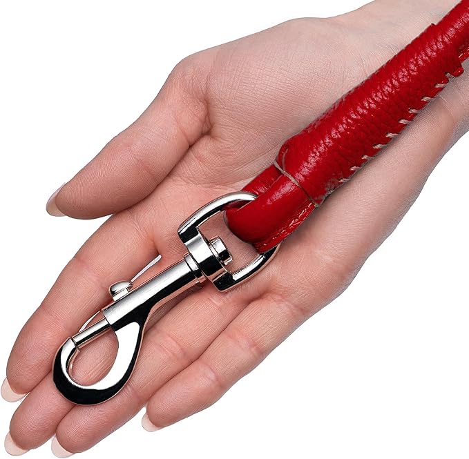 OOPSDOGGY Rolled Leather Dog Lead 6ft Heavy Duty Training Leash for Small Medium Large Dogs & Puppy Black Brown Red (Red, Small)