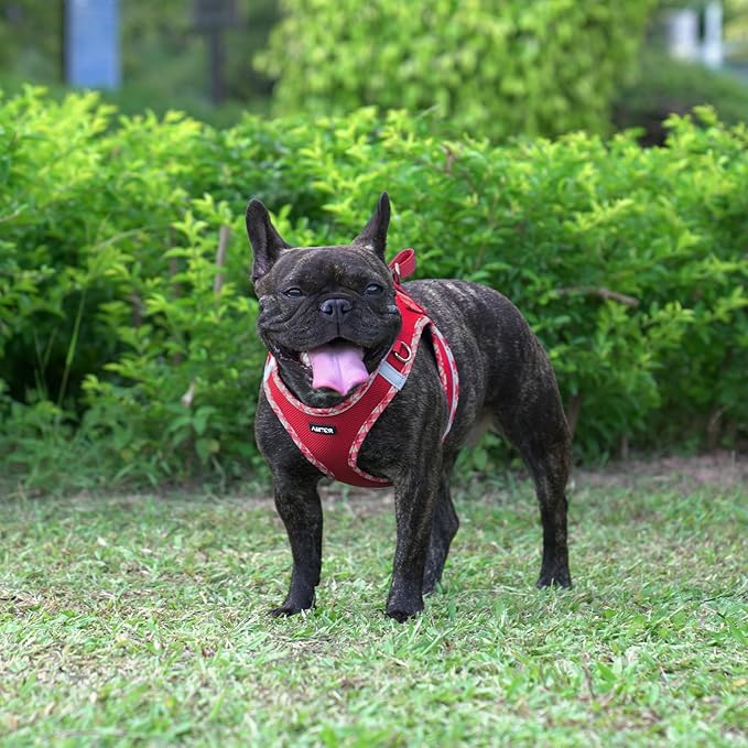 AMTOR Small Dog Harness with Leash Set, No Escape Easy Walk Puppy Harnesses for Training Walking, Step-in Reflective Soft Dogs Vest for XS S Medium Extra-Small Large Sized Dog(S Size,Red/White)