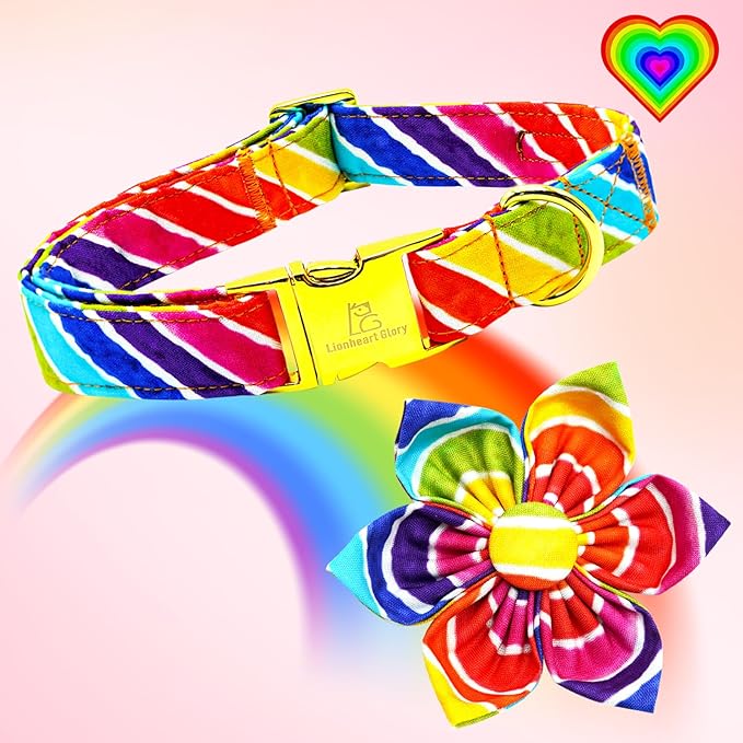 Lionheart glory Rainbow Dog Collar with Flower Colorful Summer Dog Flower Collar Heavy Duty Adjustable Pride Collars for Small Dogs Pet Gift Holiday