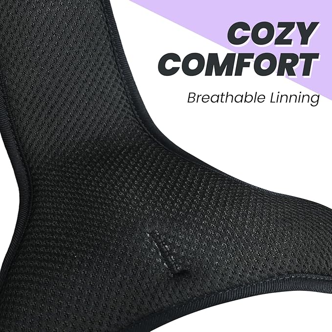 VIVAGLORY Dog Harness Easewalk No Pull Dog Harness with Handle Front Clip & Back Clip for Training Walking Lifting, No Pull Adjustable Easy On Padded Comfortable for Pet, XS, Purple - Plain