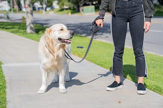 Shed Defender 5 ft. Dog Leash - Three Padded Traffic Handles - Designed in The USA - Dual Layered Thickness for Extra Strength - Reflective Stitching - Large & Small Breed - Training Lead (Pink)