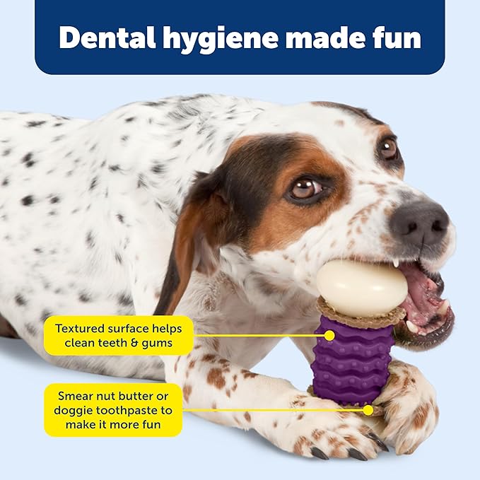 PetSafe Busy Buddy Nobbly Nubbly Treat Holding Dog Toy - Boredom Relief for Strong Chewers - Durable Nylon Build - Dishwasher Safe Design - Includes Treat Rings - Engaging Pet Puzzle - Purple - Medium