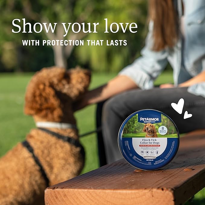 PetArmor Extend Flea & Tick Treatment & Prevention Collar for Large Dogs Above 18 lbs., 8 Months of Protection, Odorless & Non-Greasy, Waterproof, Kills Fleas, Ticks, and Flea Larvae, 1 Count