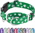 St.Patrick's Day Martingale Collar for Dogs with Buckle Adjustable Shamrock Spring Holiday Dog Collar (Clover, Small)