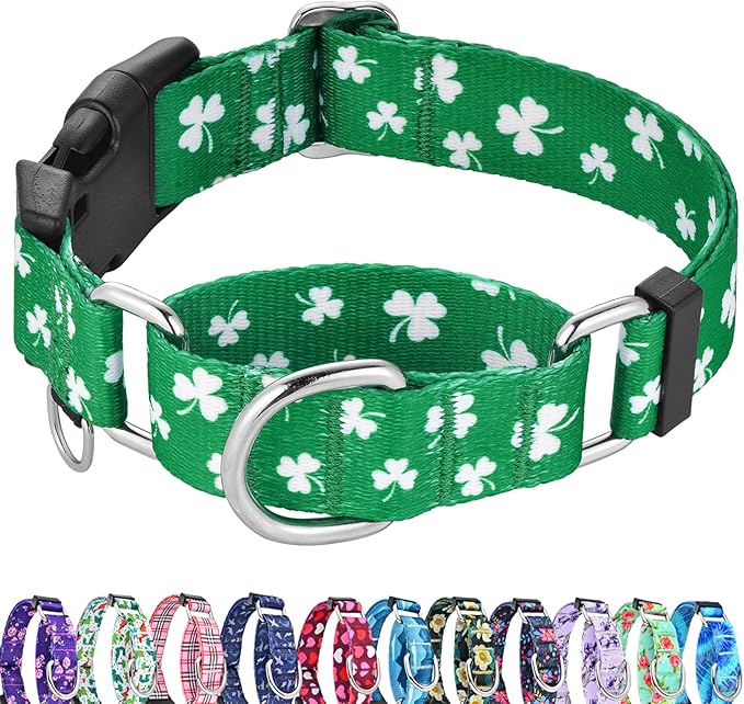 St.Patrick's Day Martingale Collar for Dogs with Buckle Adjustable Shamrock Spring Holiday Dog Collar (Clover, Large)