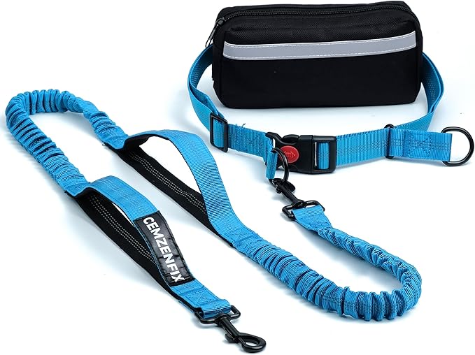 Hands Free Dog Leash with Waist Belt – No-Pull Bungee, Dual Padded Handles & Zipper Pouch for Running, Walking & Training – Adjustable Waist Leash for Large & Medium Dogs