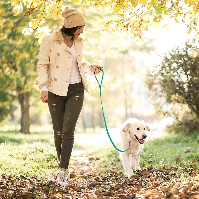 Dogline Biothane Slip Dog Leash - for Small, Medium and Large Dogs - Odor Free Slip Lead, Heavy Duty and Durable Material Kennel Lead - Teal - 7ft L x 5/8in W