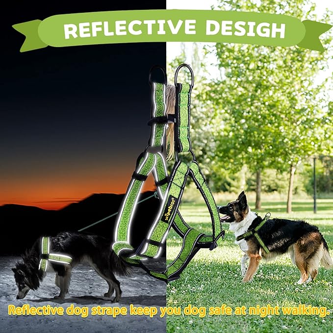 No Pull Dog Harness with Reflective Adjustable,Stops Pets from Pulling and Choking On Walks for Large Dogs (Green, XXL)