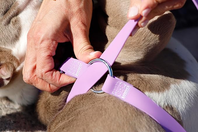 No-Pull Dog Leash, Chew Resistant, Waterproof, Durable PVC Material, Multiple Colors and Sizes (Purple, Small)
