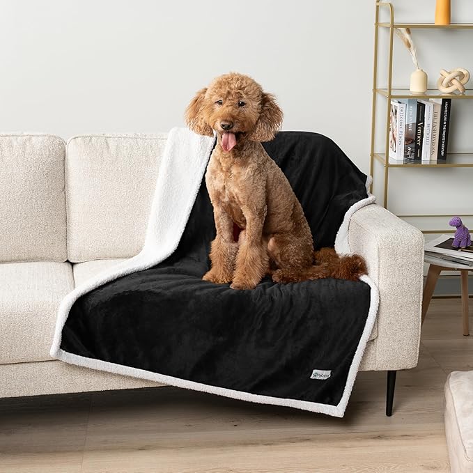 PetAmi Waterproof Dog Blanket for Small Medium Dog Puppy Cat Throw for Couch Cover Leakproof Protection, Sherpa Fleece, Reversible Soft Washable 29x40 Black