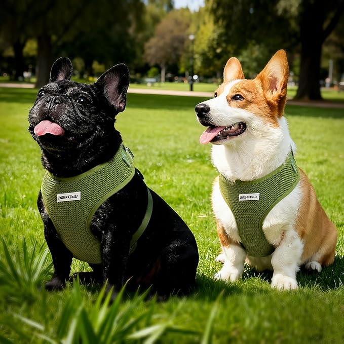 No Pull Dog Vest Harness for Small&Medium Dogs, Side Clip Adjustable Pet Vest, Soft Breathable, Fashion Dog Harnesses for Walking, Running, Shopping (Khaki Green, S)