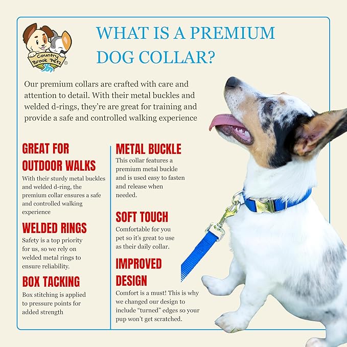 Country Brook Petz - Premium Nylon Dog Collar with Metal Buckle for Small Medium Large Breeds - 10+ Cool Colors (Large, 1 Inch, Bright Royal Blue)