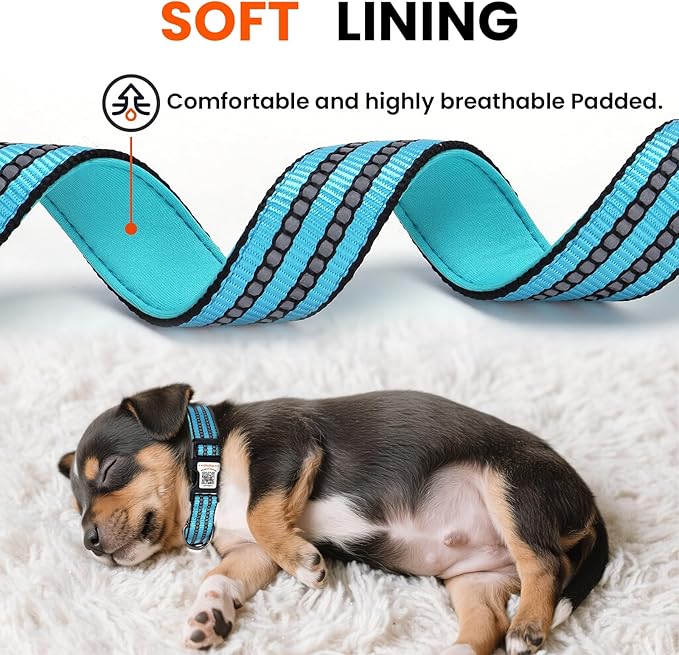 Reflective Dog Collar with QR Code Tag, Personalized Dog Collar, Safety Night Visibility, Anti-Loss Function (Blue, Medium)