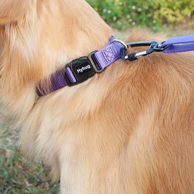 Hyhug Medium Dog Collar:Heavy-Duty Quick-Release Nylon Buckle, Adjustable & Durable, Cute Dog Collar (Medium, Ultra Violet)
