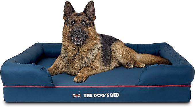 The Dog’s Bed Orthopedic Memory Foam Dog Bed with Bolsters, Oxford Fabric, Blue with Dark Red Trim, XL