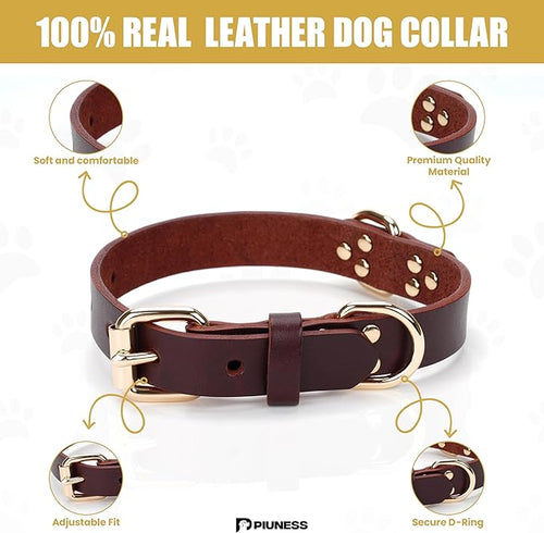 100% Real Leather Dog Collar, Premium Adjustable Fit with Durable Buckle, Stylish Comfort for Dogs (Small)