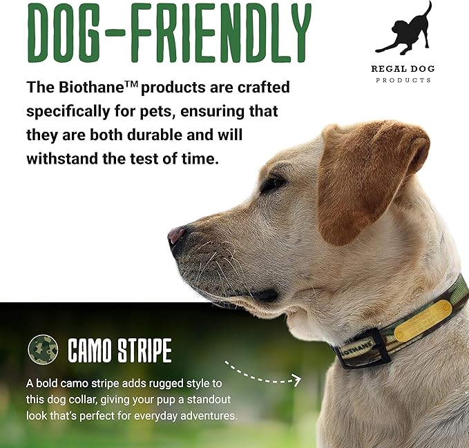 Regal Dog Products Medium Green Camo Hunting Dog Collar with Custom Engraved Name Plate and Heavy Duty Black Hardware | Waterproof Personalized Dog Collars | Other Sizes for Small, Medium & Large