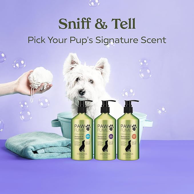 PAWFUME Dog Shedding Shampoo and Conditioner, Royal Lavender, 1-Pack – Nourish & Detangle for Silky Soft Coat – Probiotic, Deep-Cleaning, pH-Balanced – Salon-Quality Shedding Shampoo for Dogs
