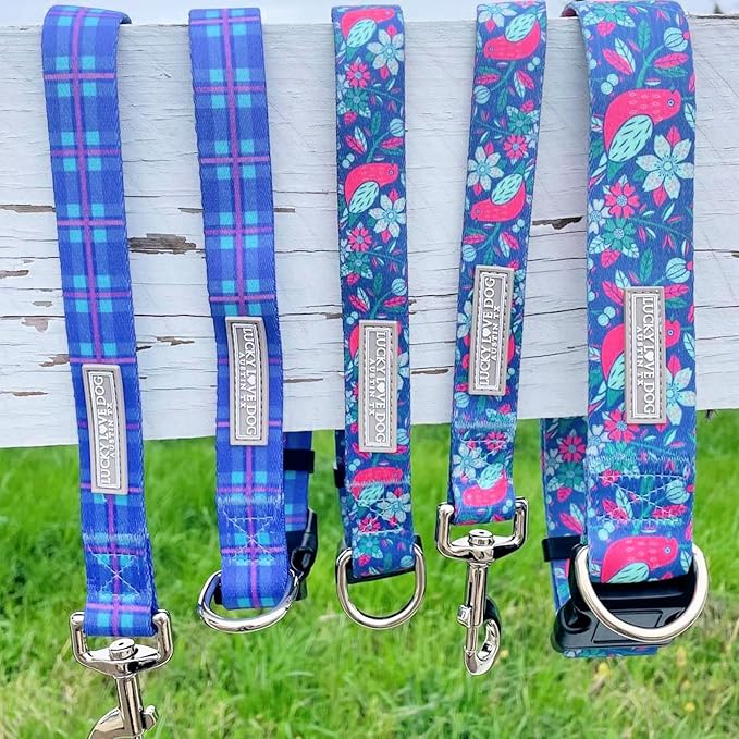 Lucky Love Dog, Blue & Violet Plaid Dog Leash - Comfy & Soft, Cute for Boy & Girl Dogs - Large, Scotty Leash