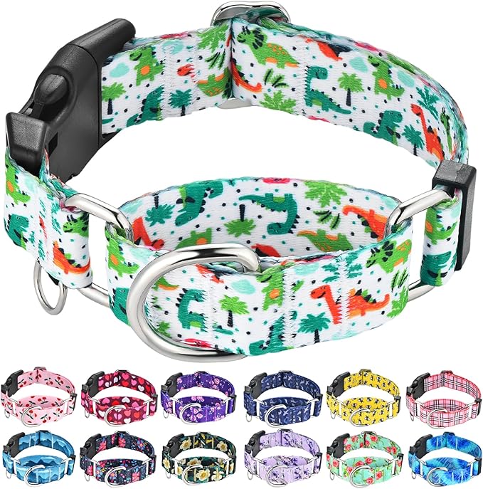 Martingale Dog Collars with Buckle No Pull Training Dog Collar for Small Dogs (Green Dinosaur, Small)