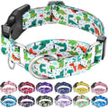 Martingale Dog Collars with Buckle No Pull Training Dog Collar for Small Dogs (Green Dinosaur, Small)
