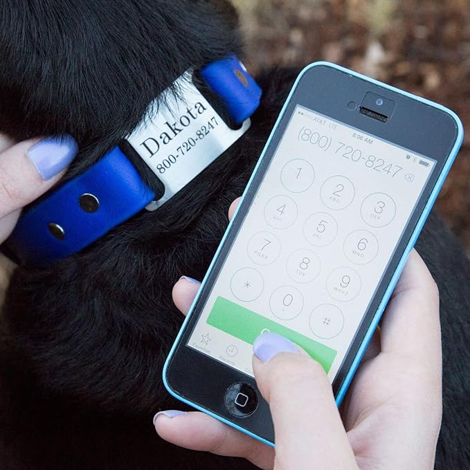 dogIDs Personalized Dog Collar – ScruffTag Custom Waterproof Biothane Dog Collar with Laser-Engraved Name, Durable & Odor-Resistant – USA Made | Terracotta, 5/8 in x 10 in (Fits Neck Sizes 9-11 in)