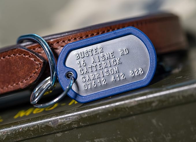 Dog Tags for Dogs, Custom Dog Collar ID Tag Personalized for Pets - Super Tough, Quiet Embossed Military Style Stainless Steel Dog Name tag (Blue)