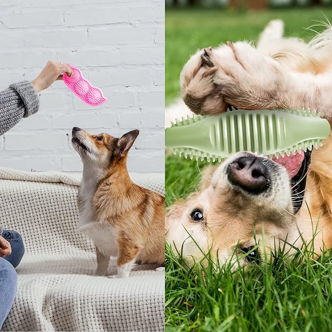 6 Pcs Puppy Teething Chew Toys Rubber Bones Shaped Dog Teething Rings Pet Cute Pink Small Dog Toys for 2-8 Months Small Dogs Cleaning Relieving Itching(Green, Deep Pink, Blue, Rose Red, Yellow Green)