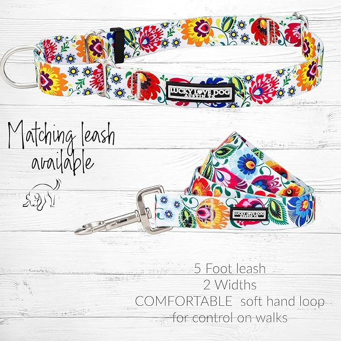 Lucky Love Dog Martingale Dog Collar & Leash - Adjustable, No-Slip, Durable, Comfortable, Soft Webbing, & Stylish Patterned Collar & Leash Set for Male and Female Dogs - Ladybird Combo, Large
