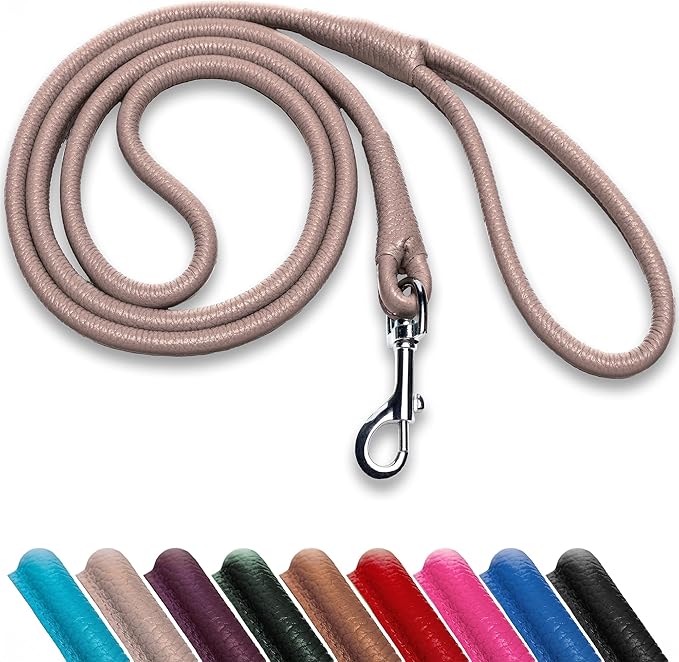 OOPSDOGGY Rolled Leather Dog Lead 6ft Heavy Duty Training Leash for Small Medium Large Dogs & Puppy Black Brown Red (Beige, Small)