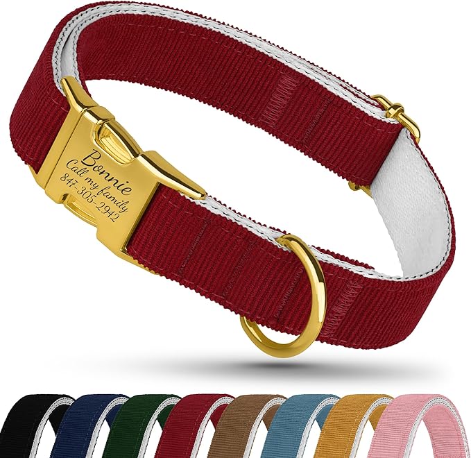 Personalized Dog Collar with Gold Metal Buckle, Velvet Custom Dog Collars for Small, Medium & Large Dogs – Puppy Collars with Metal Buckle, 4 Sizes, 8 Colors (Red, S, 9"-12")
