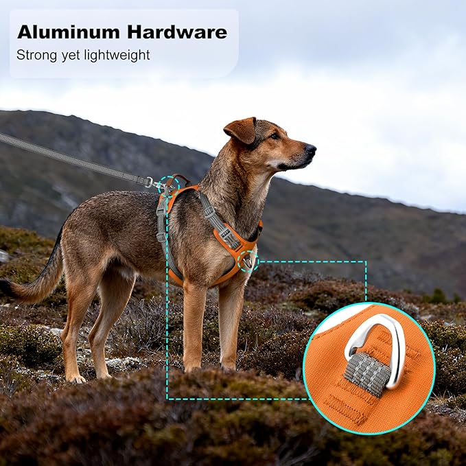 No Pull Dog Harness – Adjustable Reflective Nylon Vest for Small Medium Large Dogs, Escape Proof Training Harness with Leather Control Handle, Lightweight Aluminum Hardware (Orange, M)