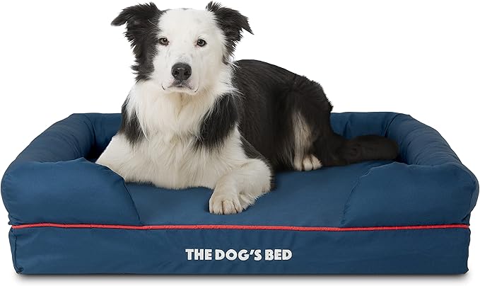 The Dog’s Bed Orthopedic Memory Foam Dog Bed with Bolsters, Oxford Fabric, Blue with Dark Red Trim, Large
