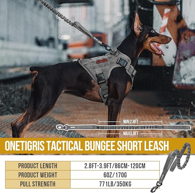 OneTigris Tactical Dog Training Leash Bungee Leash with 2 Control Handle Quick Release Nylon Leads Rope(Grey)