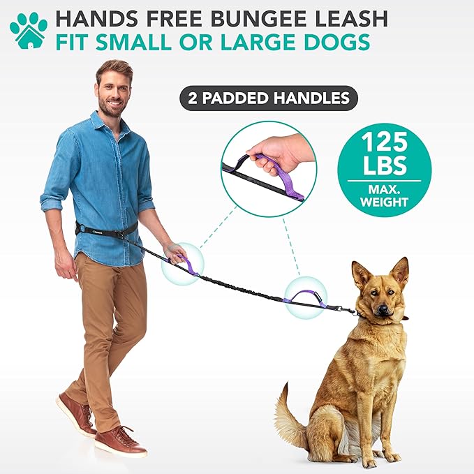 PetAmi Heavy Duty Hands Free Dog Leash, Adjustable Waist Belt for Large Dog Walking Up to 125 lbs, Bungee Leash for Pet Running, Hiking, Reflective Safety for Jogging, Biking, Purple Handle