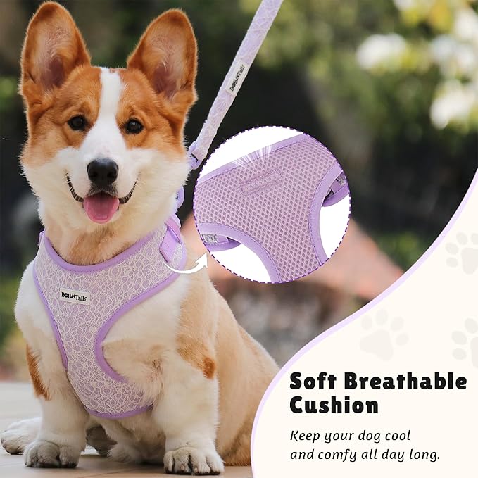 No Pull Dog Vest Harness for Small&Medium Dogs, Side Clip Adjustable Pet Vest, Soft Breathable, Fashion Dog Harnesses for Walking, Running, Shopping (Purple, XS)