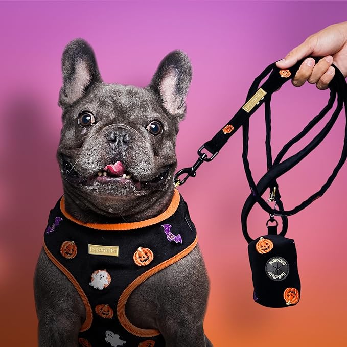 Dog Poop Bag Holder with Clip, Stylish Doggy Waste Bag Dispenser for Dog Leash, Durable Portable Poop Bag Carrier No Include Poop Bag Inside