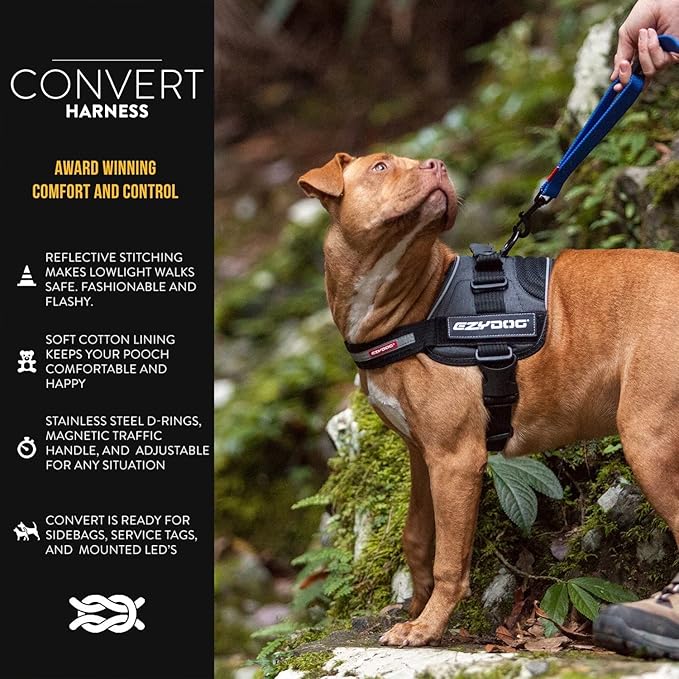 EzyDog Convert Dog Harness – Trail-Ready Rugged Harness for Walking, Hiking & Outdoors with Reflective Piping, Badge Attachment Points, Traffic Handle, & Comfort Lining (X-Small, Charcoal)