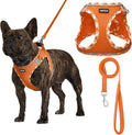 AMTOR Small Dog Harness with Leash Set, No Escape Easy Walk Puppy Harnesses for Training Walking, Step-in Reflective Soft Dogs Vest for XS S Medium Extra-Small Large Sized Dog(XXS Size,Orange/White)