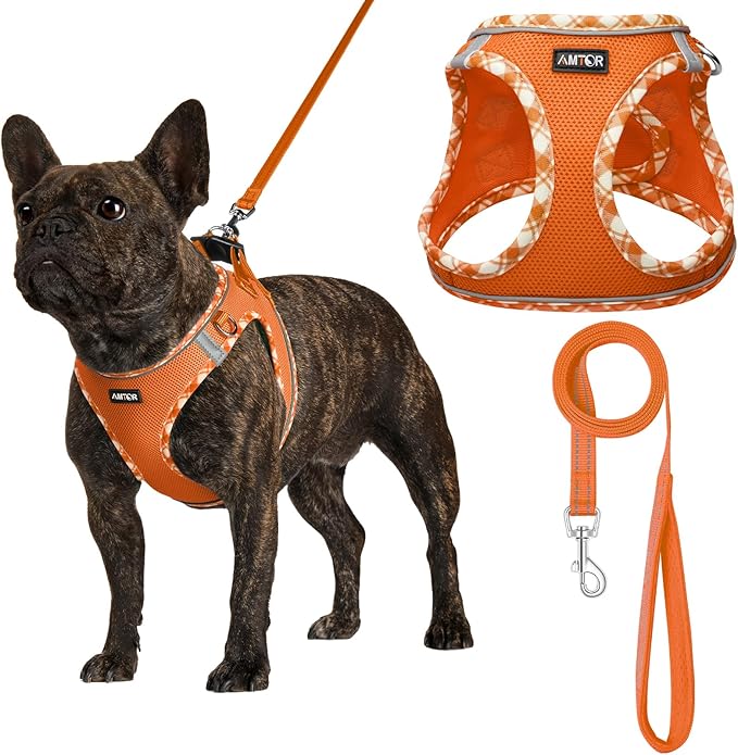 AMTOR Small Dog Harness with Leash Set, No Escape Easy Walk Puppy Harnesses for Training Walking, Step-in Reflective Soft Dogs Vest for XS S Medium Extra-Small Large Sized Dog(S Size,Orange/White)