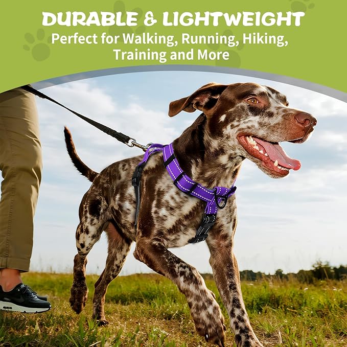 Dog Harness,Adjustable No Pull Dog Harness,Y-Shaped Design,Buckle-Neck Balance Harness with Reflective, Ideal for Dog Training Hiking, Easy Walk Harness,Durable High-Tensile Nylon Purple-M