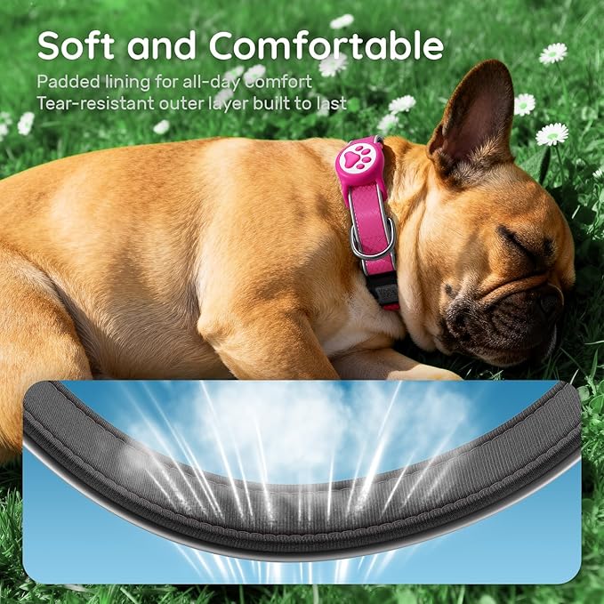 Reflective Dog Collar with Waterproof Air tagholder & Anti-Lost QR Code | Ultra-Durable | Soft Padded | Safety Locking Buckle | Fit Small Dogs (Rose Red S(9.8"-15.7"))